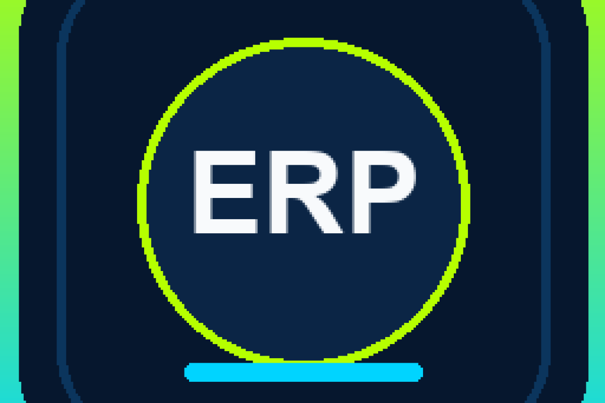 ERP Software for Small Businesses in Pakistan: Start Small, Scale Later